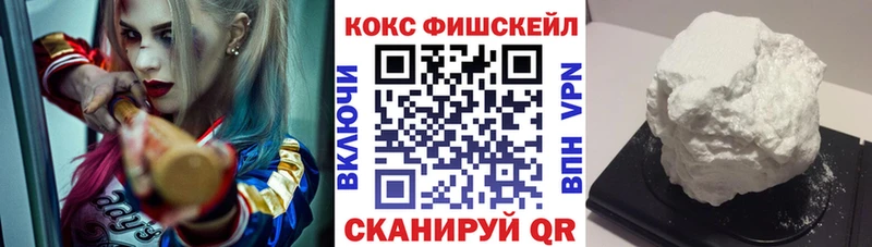 где купить наркотик  Волгореченск  мега вход  Кокаин FishScale 