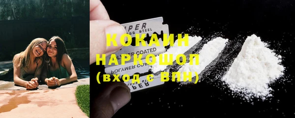 молекула духа Богородицк