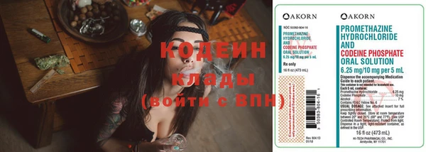 дживик Богородск