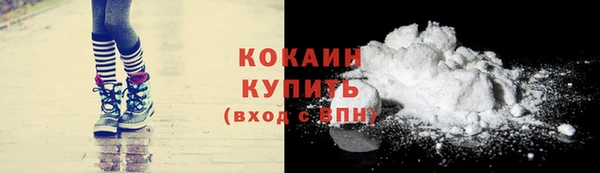 молекула духа Богородицк