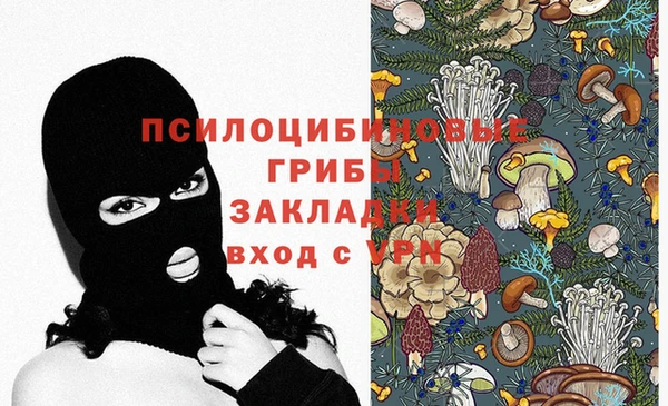 молекула духа Богородицк