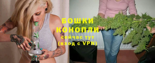 молекула духа Богородицк