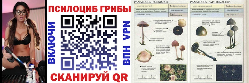 Псилоцибиновые грибы Magic Shrooms  Волгореченск 